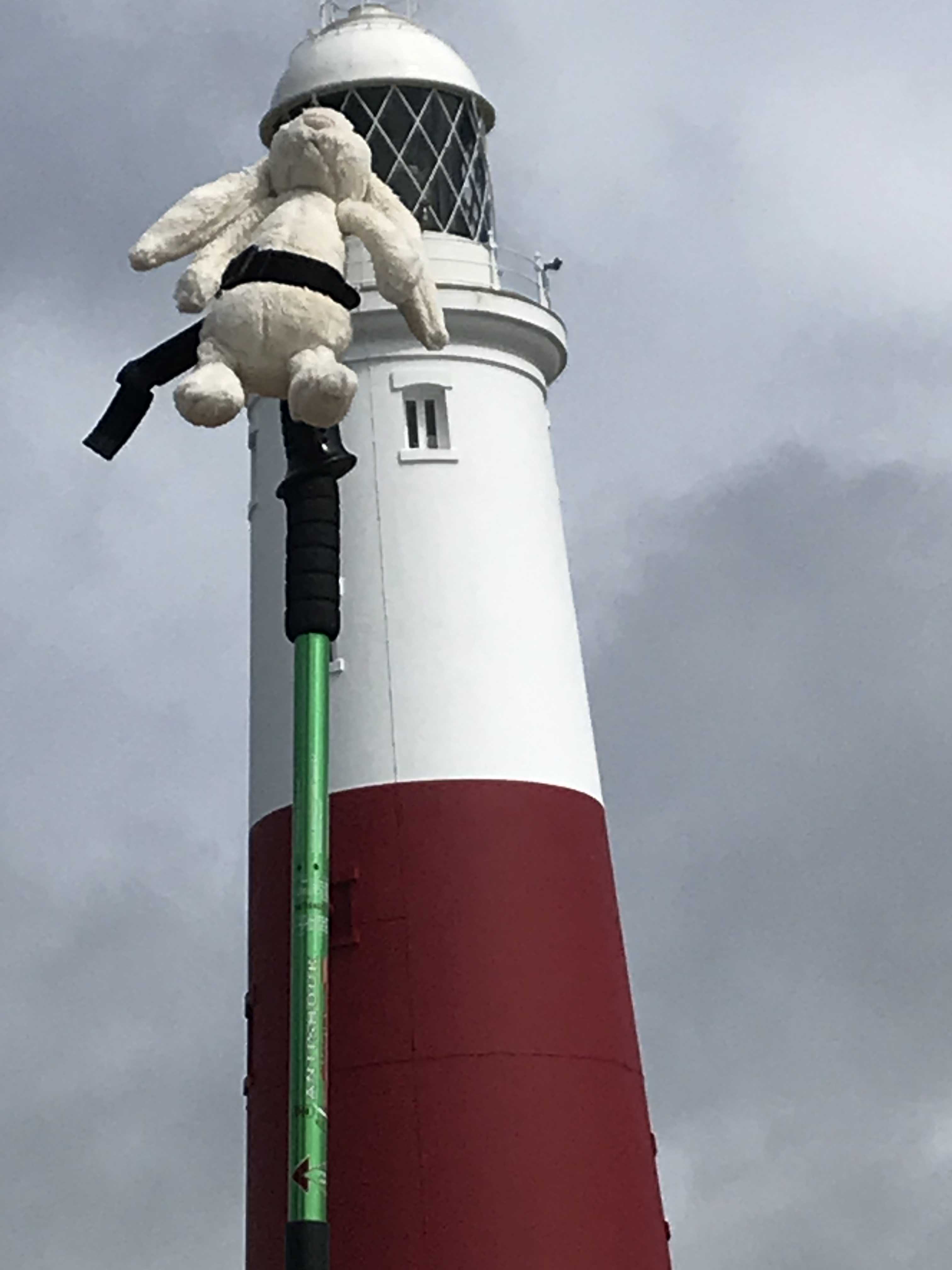 The first rabbit to walk the whole Path – The South West Coast Path