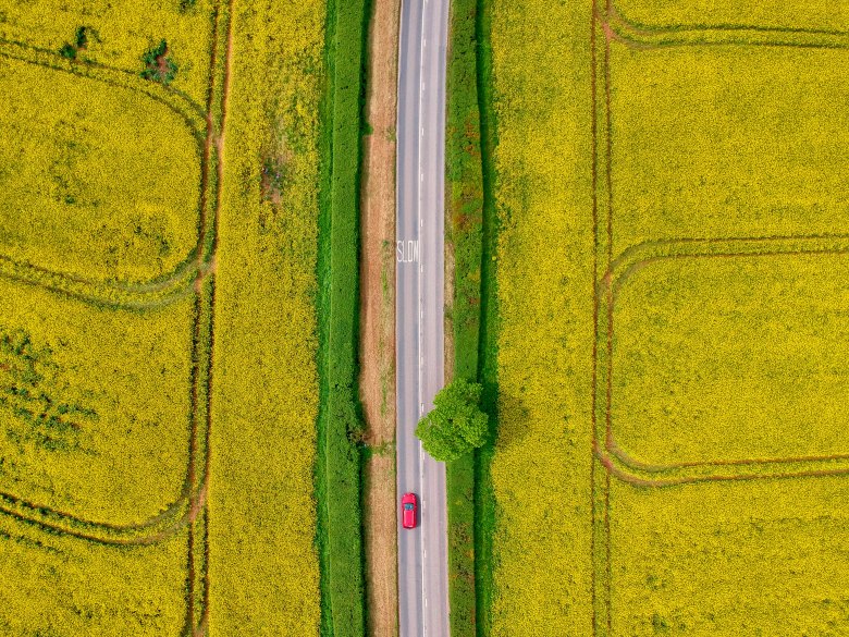 D57A61BF-250E-4011-892F-2A8120AB48BD