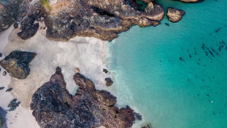 Kynance Cove, Cornwall, Aerial shot._m_v_-715787-unsplash
