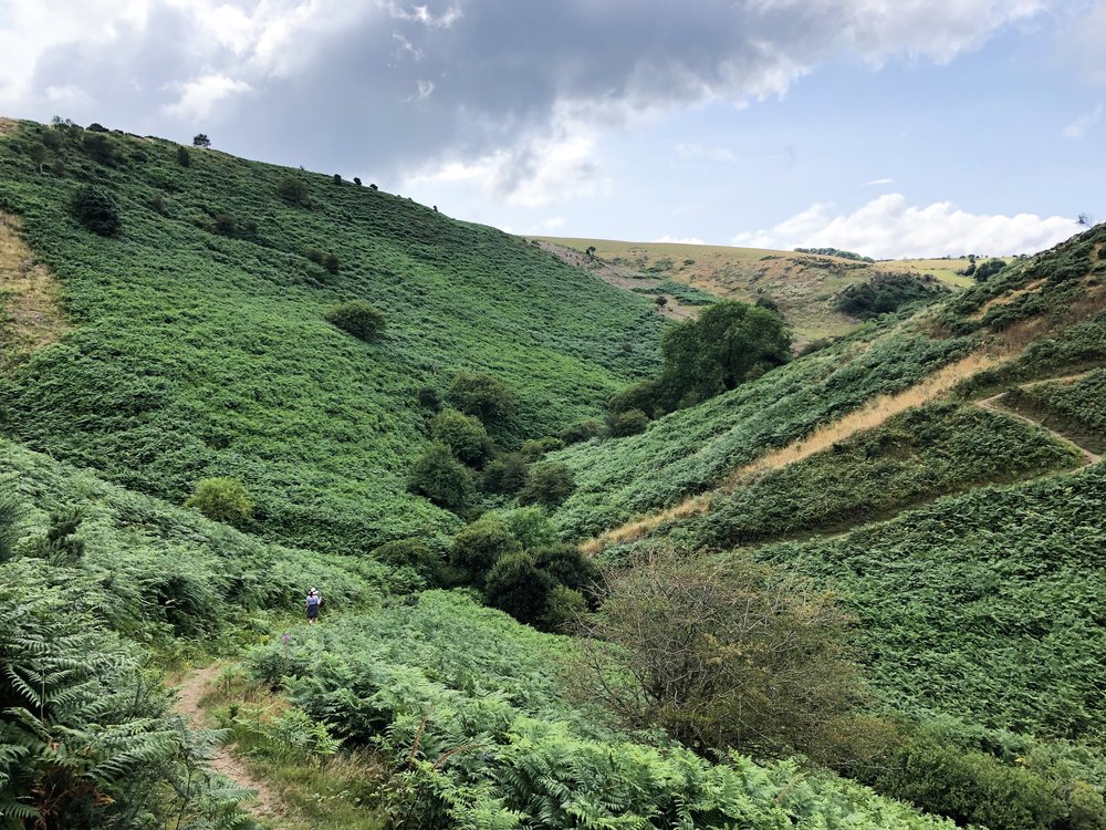 Green+fields+in+North+Somerset