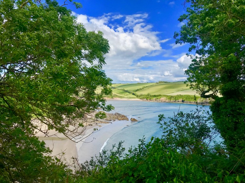 _home_swcp_site_media_forms_af3faa06-05a0-48b9-bdbd-dca7420c675d_IMG_6477