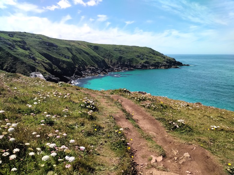 Path out of St Ives ORIGINAL - steph boon