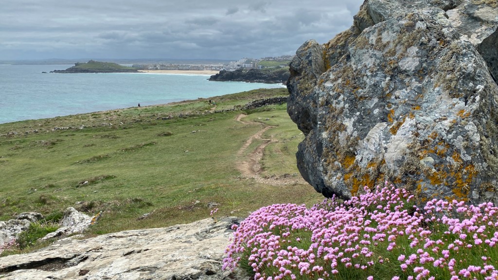 A scenic coastal view featuring a large rock in the foreground, vibrant pink flowers, and a sandy beach in the background under a cloudy sky.