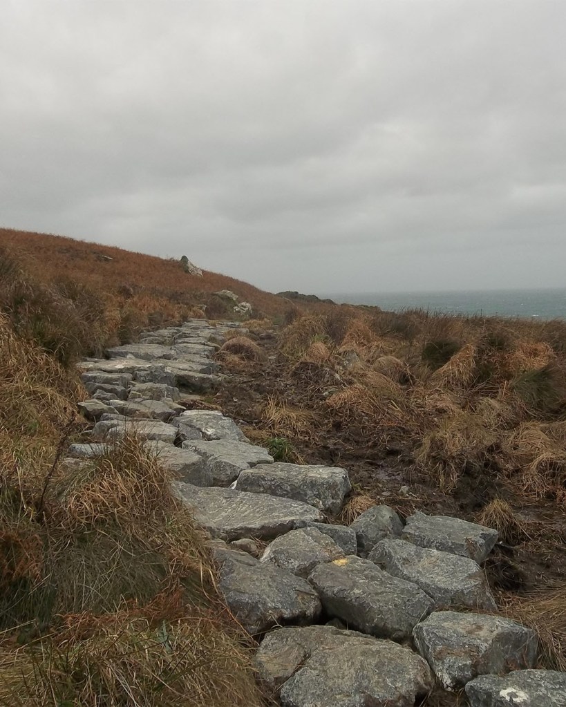 A winding stone path through brown grass and shrubs, leading towards a cloudy sky.
