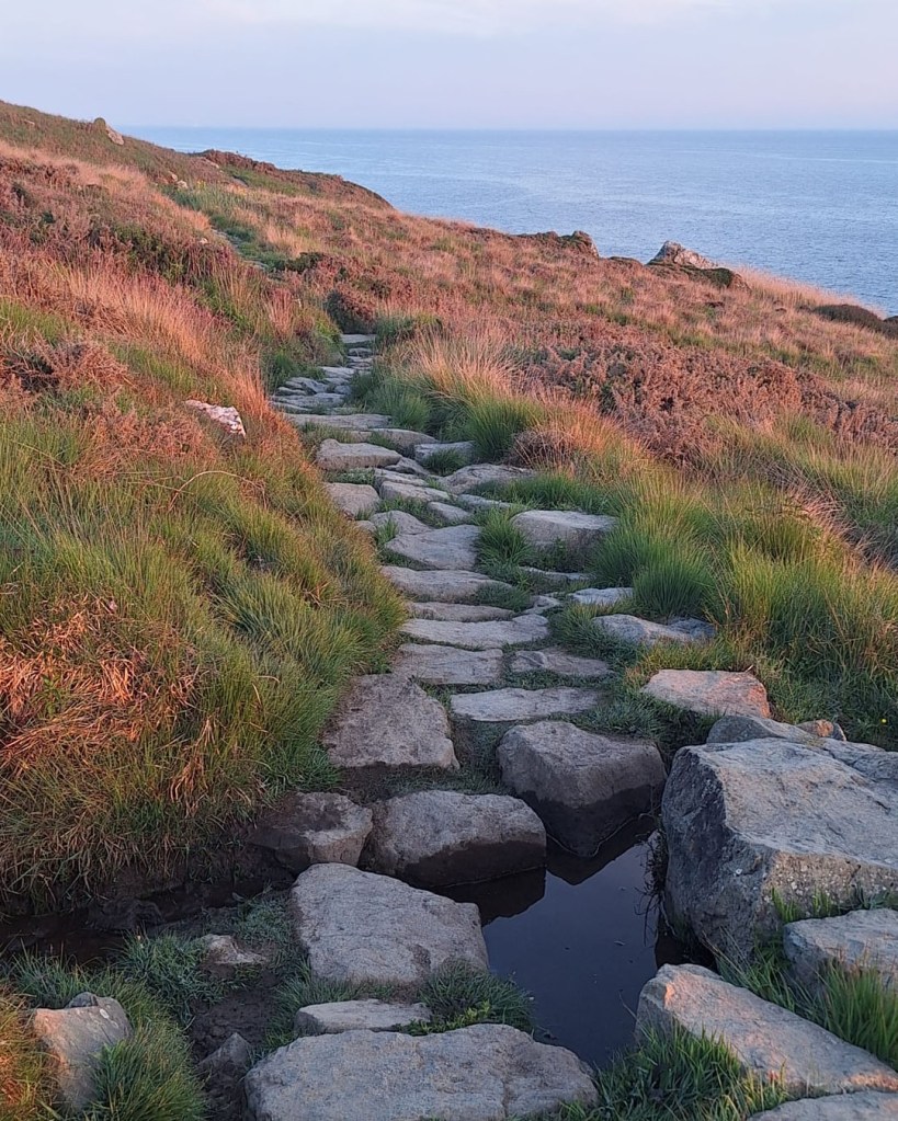 A rocky pathway leading through grassy terrain towards the sea, with a small pool of water beside the path, illuminated by soft evening light.